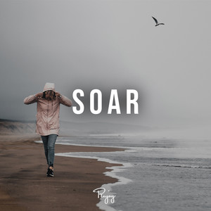 Soar (feat. Mirov)