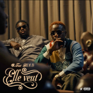 AK - Elle veut (feat. Didi B)