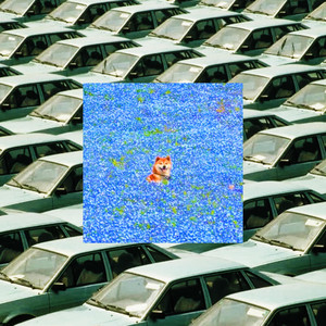 Blood on The Snow - Helen Keller