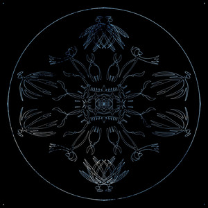 IV by Vorso