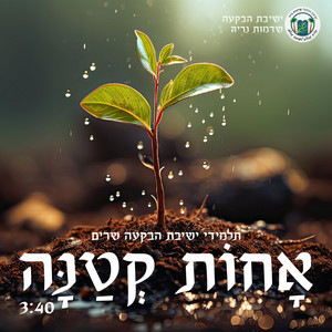 אחות קטנה by ישיבת שדמות נריה