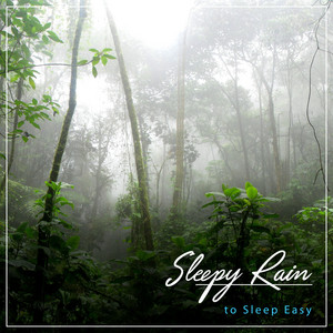 #11 Sleepy Rain Noises to Sleep Easy album