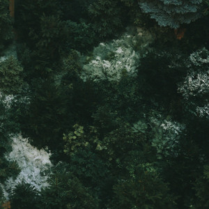 Mineral by Lunar Wave