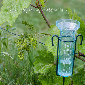 Serene Rainy Morning Meditation Vol. 1 album