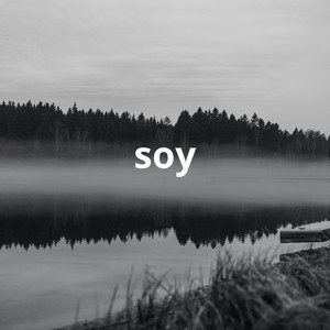 soy by starlin swagger