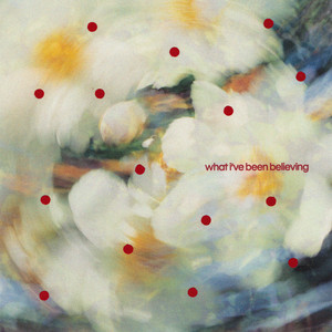what i've been believing by ash wiseman