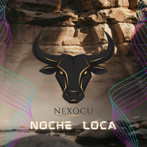 Noche Loca by NEXOCU