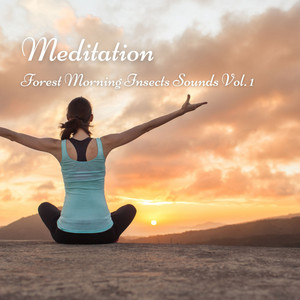 Meditation: Forest Morning Insects Sounds Vol. 1 album