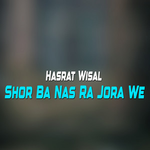 Hasrat Wisal - Nade Pregdama Ka Har Somra Gharebi Da