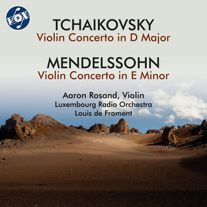 Violin Concerto in D Major, Op. 35, TH 59: II. Canzonetta. Andante