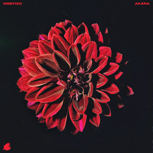 AKÁRA by Westizo