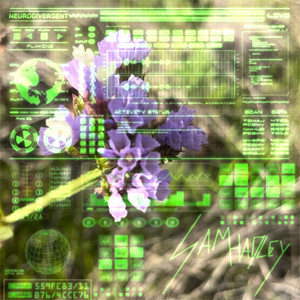 Sam Hadley - Neurodivergent(im sorry)