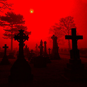 R.I.P Rose by Rxd Rose