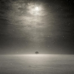 이름 없는 눈 (Nameless Snow) by Fantasoner