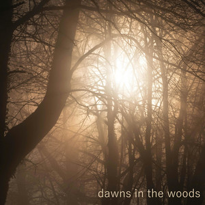 dawns in the woods by Valentine Martini