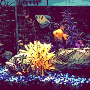 Maritime Lullaby