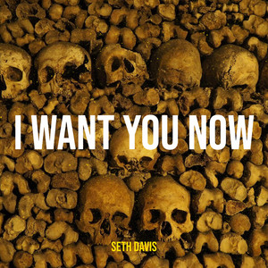 I Want You Now by Seth Davis