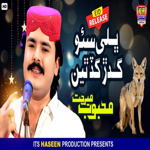 Mehboob Mirjat - Bhalay So Geedar Bhalay Gad Thiyan