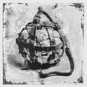 Stanislav Tolkachev — Dog Flavored Cat Chew EP (2026)