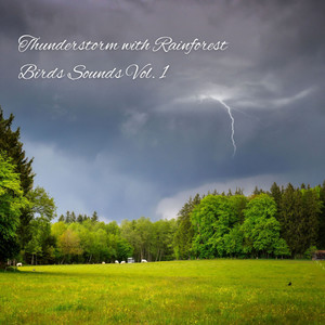 Thunderstorm with Rainforest Birds Sounds Vol. 1 album
