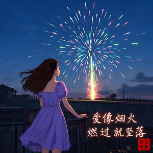 爱像烟火燃过就坠落 by 邵金刚