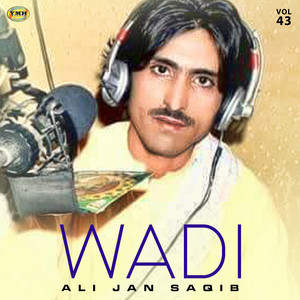 Ali Jan Saqib - Ayno Kanto Khowash