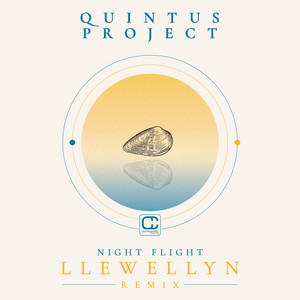 Night Flight - Llewellyn Remix by Quintus Project, Llewellyn