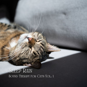 Sleep Rain: Sound Therapy for Cats Vol. 1 album