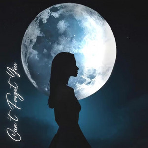 Vybeq - Can't Forget You