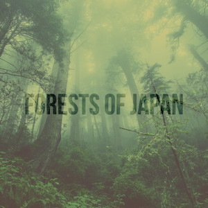 Tokyo Audio Systems - Birds of Paradise