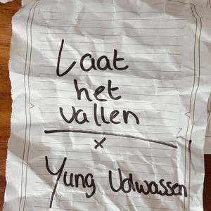 Laat Het Vallen by Yung Volwassen