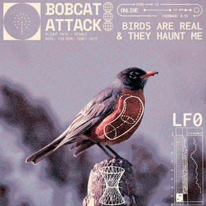 Birds Are Real, & They Haunt Me by Bobcat Attack