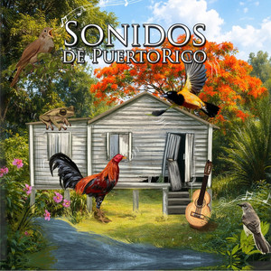 Jose Raul Marrero - Seis Milonga Sentimental Y Sonido Del Gallo Inglés