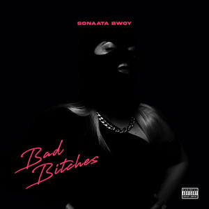 Portada de Bad Bitches