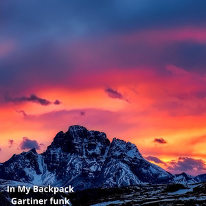 In My Backpack by Gartiner funk