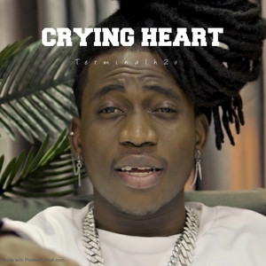 Terminalh2o - Crying heart