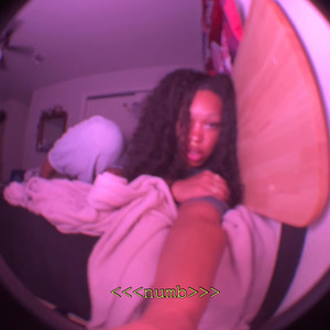 Portada de numb