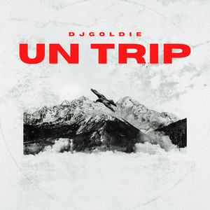 UN TRIP by DJ Goldie
