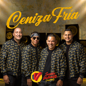 Conjunto Sentir Vallenato - Ceniza Fría