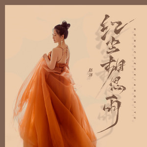 红尘相思雨 - DJ名龙版 by 赵洋, DJ名龙