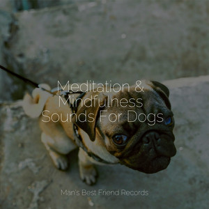 Meditation & Mindfulness Sounds For Dogs album