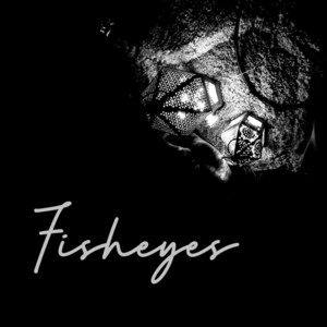 Fisheyes