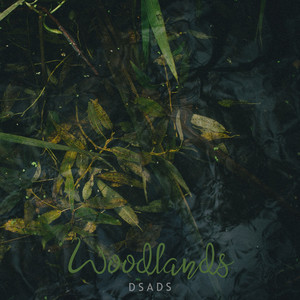 Woodlands by DSADS