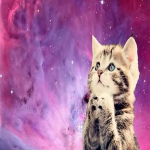 Ignacipee - lossing sleep