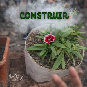 Construir by POLY