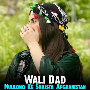 Wali Dad - Saz