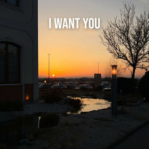 I Want You by tony.wav