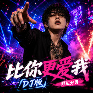 比你更爱我(DJ版) by 野生分贝