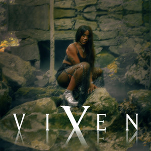 Portada de Vixen