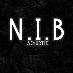 N.I.B - Acoustic by J-ROCK'S